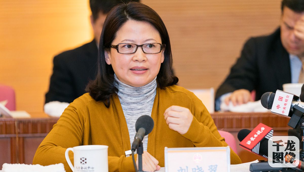 刘晓翠建议禁播校园暴力视频