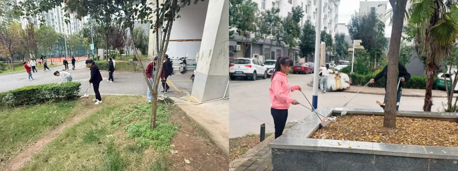 1775091921704000.jpg pic(5).jpg